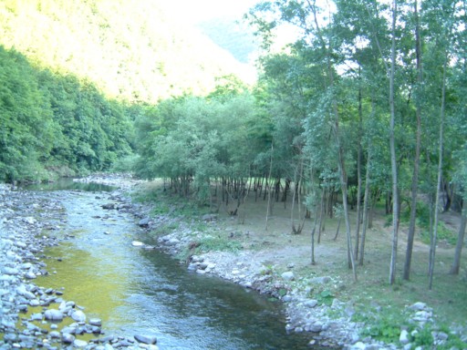  Image name: DSCF5658.JPG 
 width: 512 pixel 
 height: 384 pixel 
 Size: 76138 bytes 
 Click to enlarge 